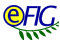 eFIG - Full member eFIG - Full member