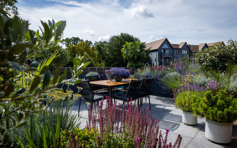 The Rooftop Garden - Adam Vetere. &copy;Ellie Walpole