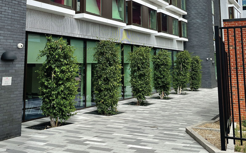 Tree Grills to support tree growth from green tech