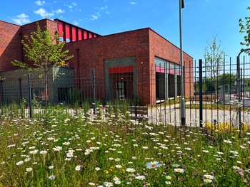 Health Innovation Dudley