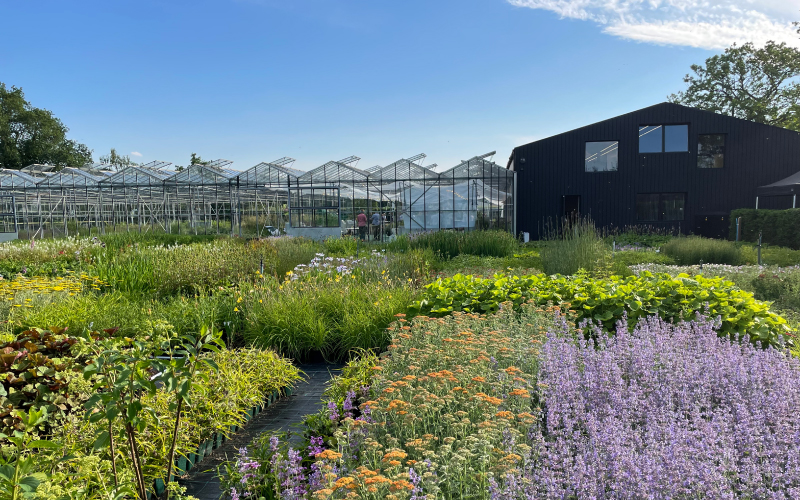 Wright landscapes opening
