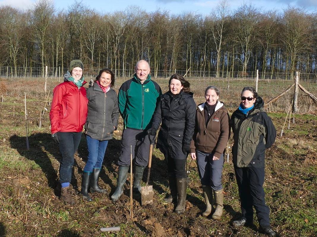 Nicola Spence plants new Ash trees to launch IYPH2020