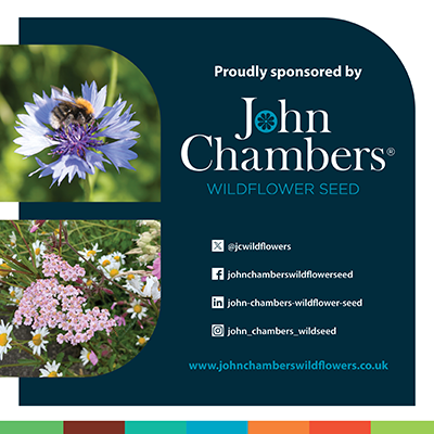 John Chambers Wildflower Seed