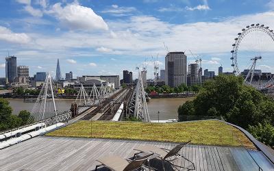 Green roof - bridgman and bridgman