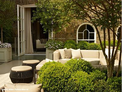 A back garden featuring a tree surrounded by shrubs in the foreground and cream coloured garden furniture in the background.