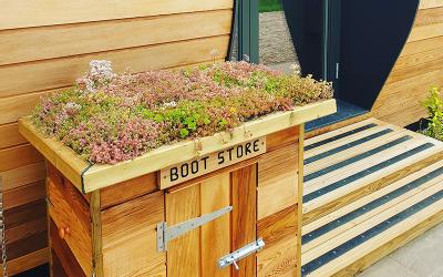 Green Roof - Bridgman and Bridgman