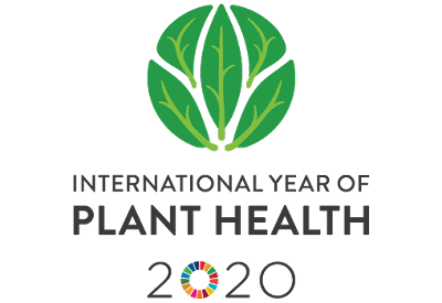 International Year of Plant Health 2020