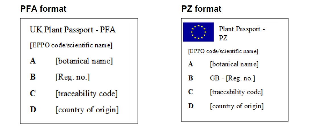 PFA