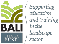 BALI Chalk Fund logo