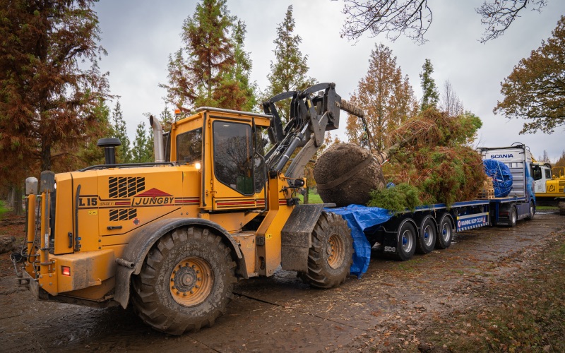 Ebben Gavin transportation