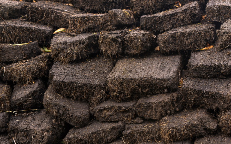 Feedback sought on industry peat use British Association of Landscape