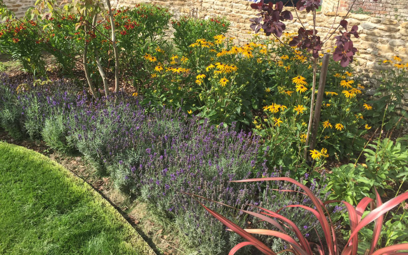 Boughton shortlisted at 2024 Society of Garden Designer Awards British Association of