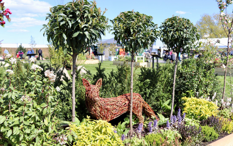 Johnsons of Whixley donates plants to Harrogate Flower Show garden