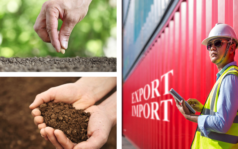 UK Government publish draft Border Target Operating Model (TOM