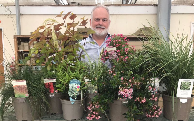 Wyevale Nurseries enters nine new plants for National Plant Show awards