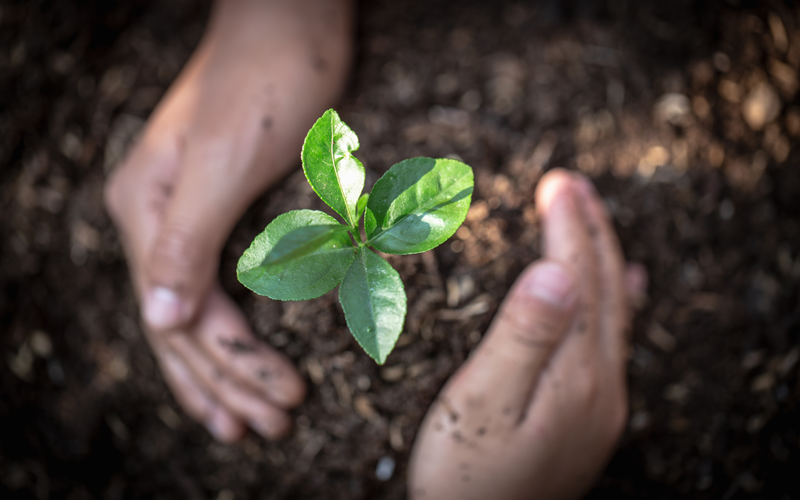 Users of Professional Plant Protection Products reminded to register